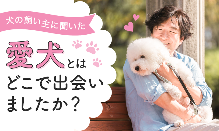 【犬の飼い主に聞いた！】愛犬との出会いは？