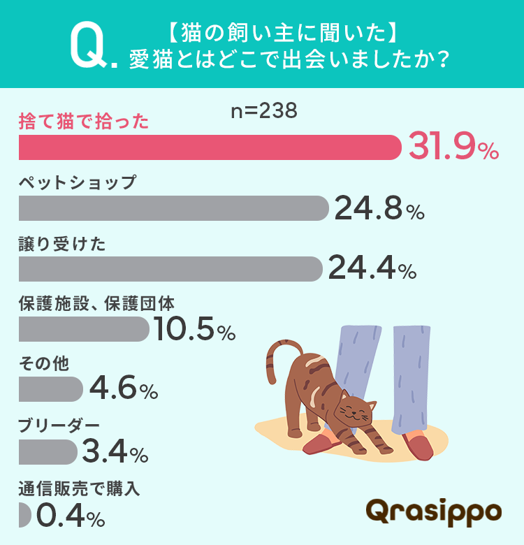 【猫の飼い主に聞いた！】愛猫との出会いは？