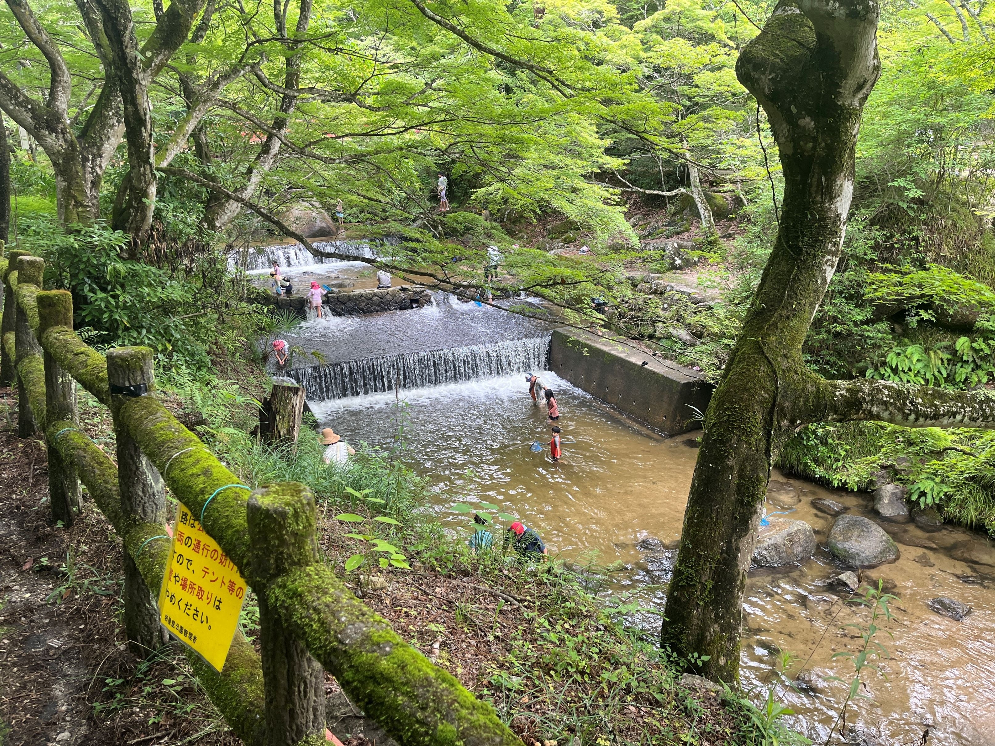 《8月3日(土)にウッドデザインパーク岩屋堂公園店がオープン》岩屋堂公園に更なる賑わいを！夏場は川遊び、秋...