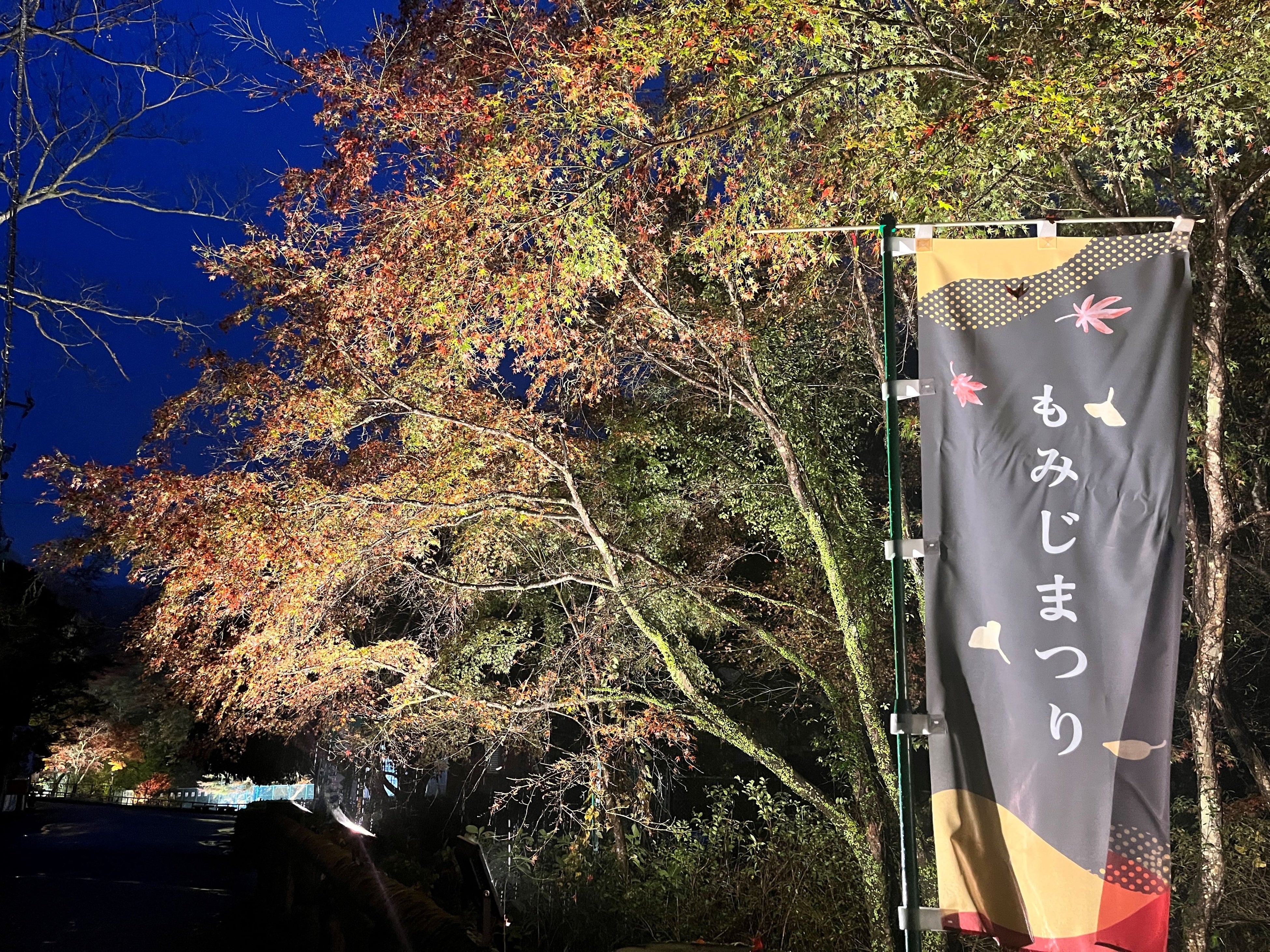 《8月3日(土)にウッドデザインパーク岩屋堂公園店がオープン》岩屋堂公園に更なる賑わいを！夏場は川遊び、秋...