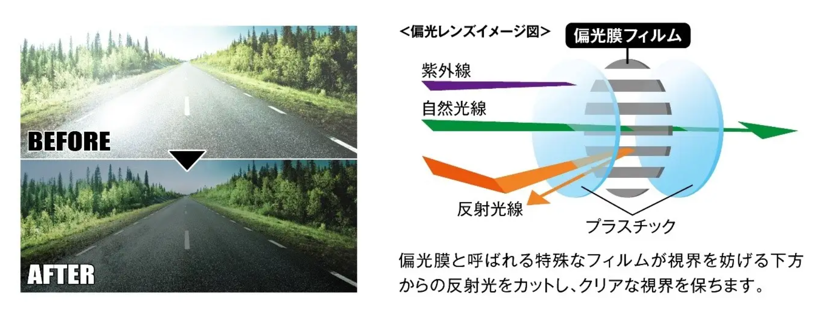 これぞ二刀流⁉「メガネとサングラス」がワンタッチで早変わり！これ1本で超便利なメガネが愛眼から登場！