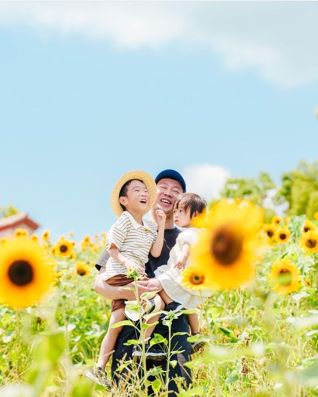 元気がもらえる小さな太陽「7万本のひまわり」開花　【ハーベストの丘】