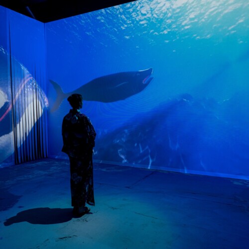 一旗プロデュース「動き出す浮世絵展 MILANO」の公式記録映像“藍”を公開。世界で「ジャパン・ブルー」と絶賛...