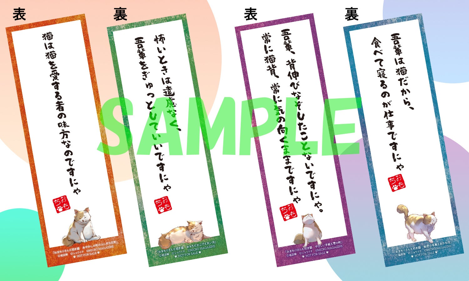 「今日はお天気がいいから、お散歩ですにゃ」しゃべる猫“おもちさん”と織りなす、海辺の町のほっこり“あやか...