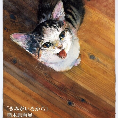 愛猫とのかけがえのない日々を綴った人気絵本『きみがいるから』原画展が開催！7月30日（火）より、熊本市の...