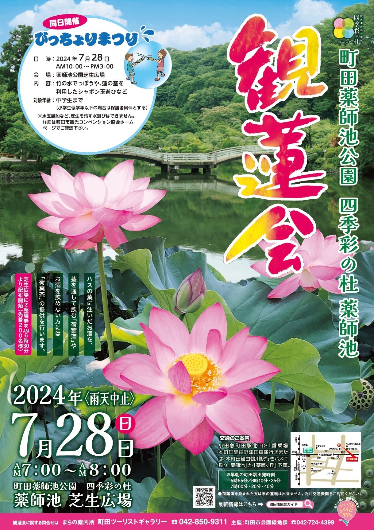 町田薬師池公園四季彩の杜 薬師池「観蓮会」・「びっちょりまつり」を開催します