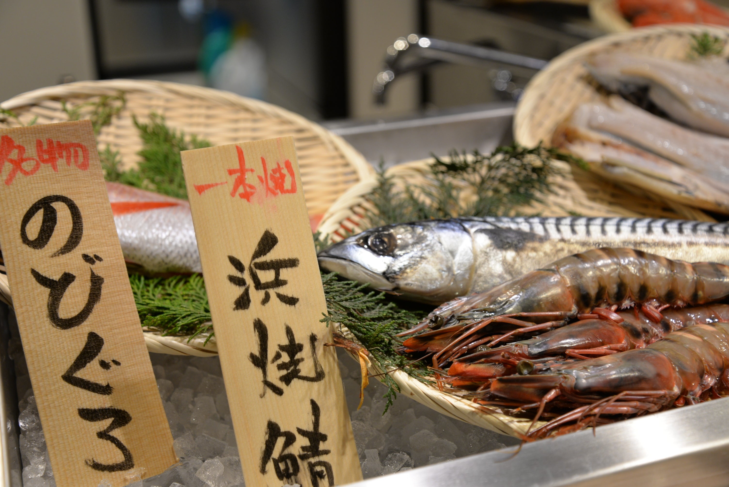 【メディア向け試食会開催】新業態「炭火炉端と肉 金しゃもじ」が８月12日（月・祝）渋谷にオープン