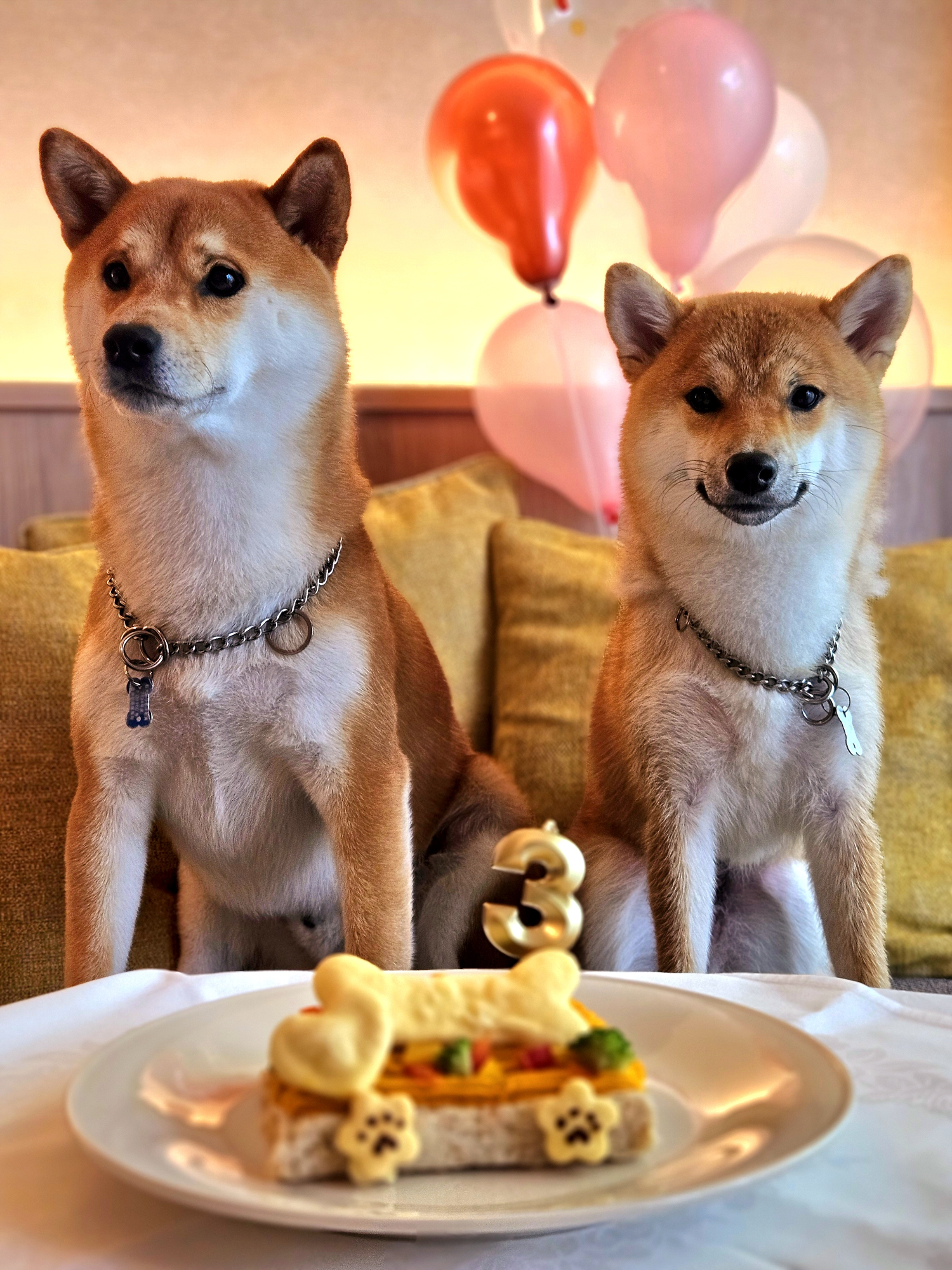 愛犬の記念日のお祝いにぴったり「わんダフル アニバーサリー 夕朝食付」プランが登場