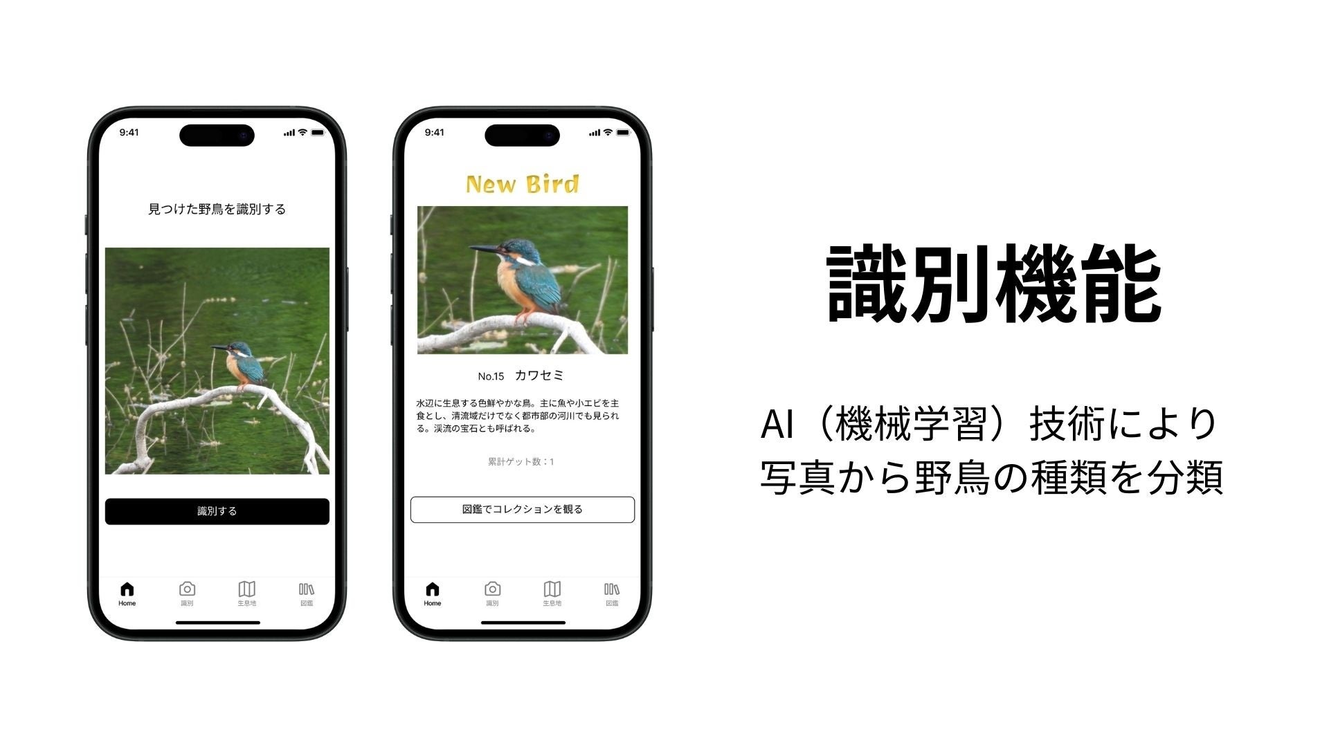 野鳥図鑑のコンプリートを楽しむエンタメアプリ「野鳥GO」発表！事前登録も受付中