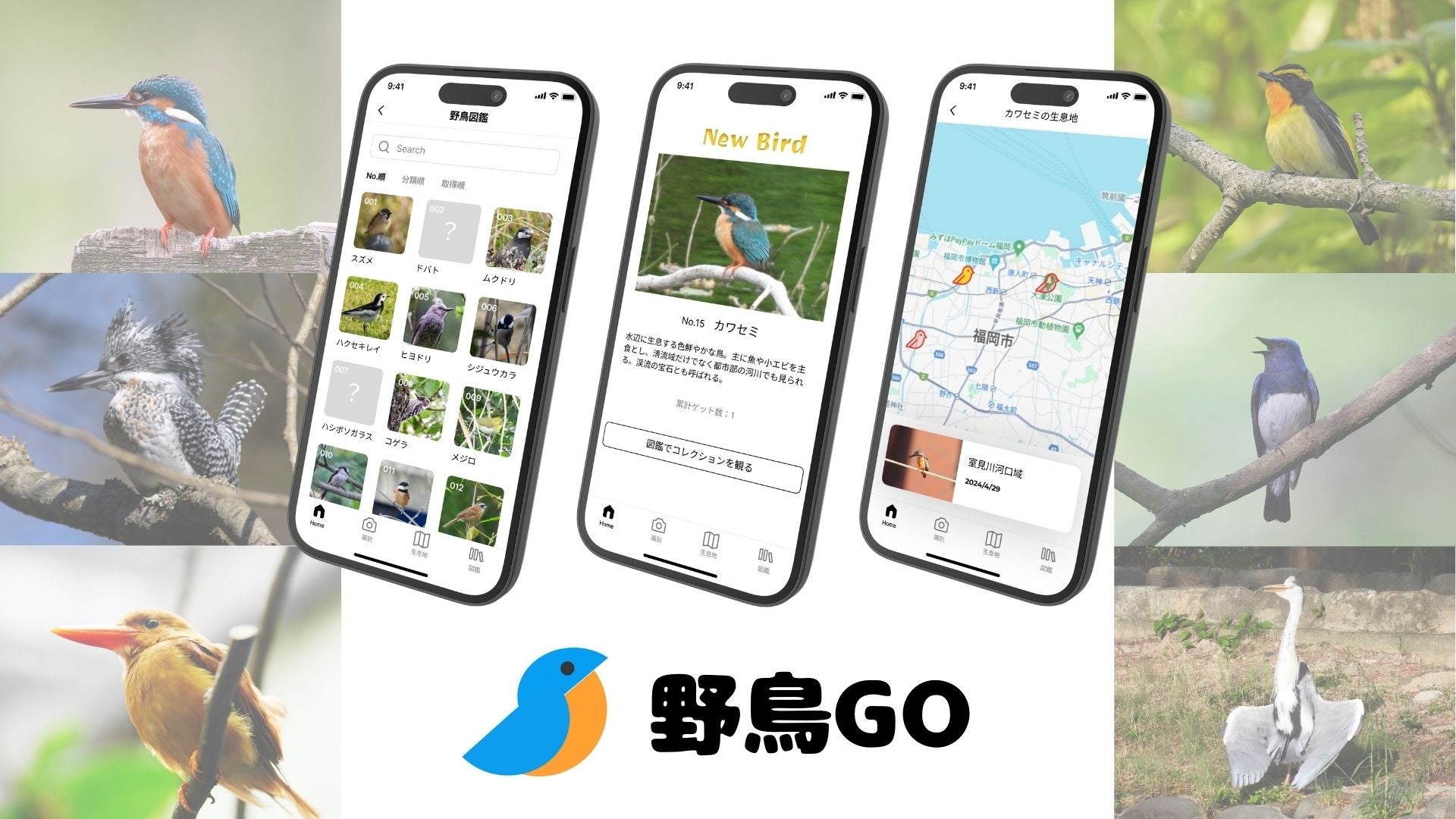 野鳥図鑑のコンプリートを楽しむエンタメアプリ「野鳥GO」発表！事前登録も受付中