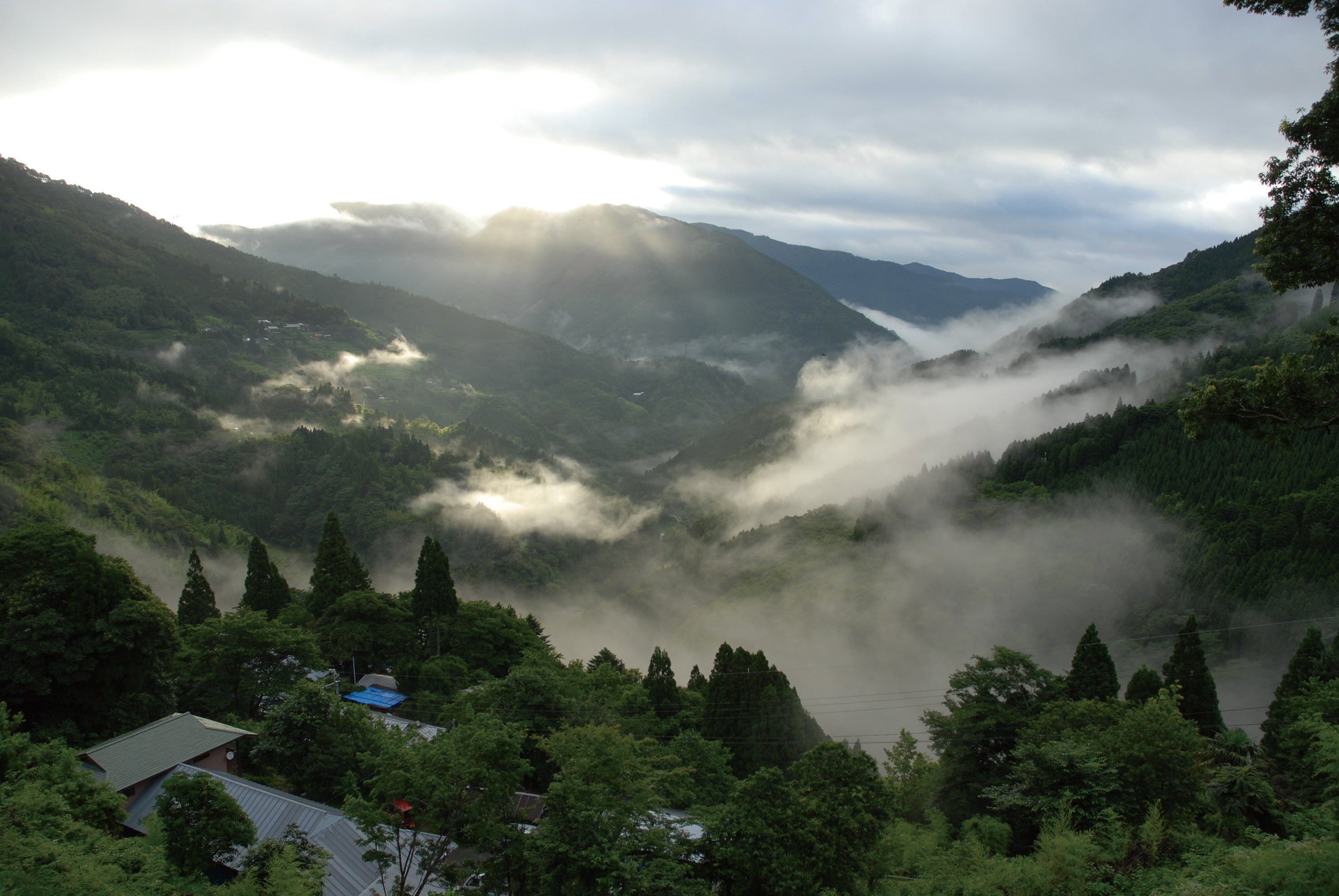 幻の豆腐を福岡で体験！日本三大秘境“宮崎県椎葉村”の豆腐・豆乳や豆乳スキンケアを体感する『豆腐の盛田屋』...