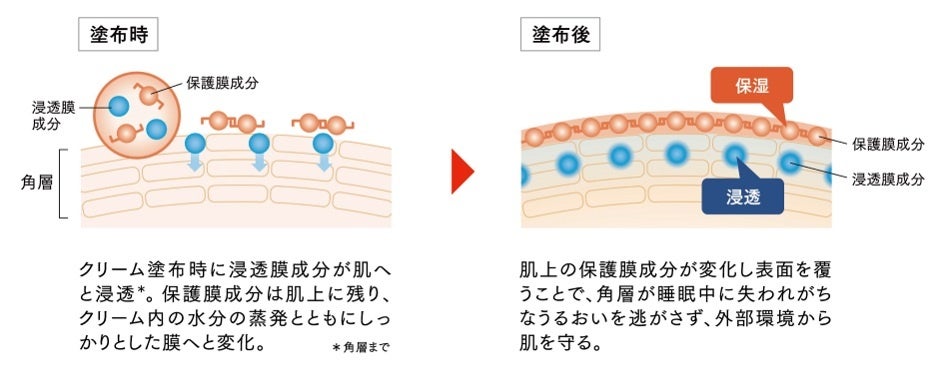 肌・からだ・心すべてをうるおす、ベネフィークから。ナイトクリームを2024年9月21日（土）発売。～夜の深香...