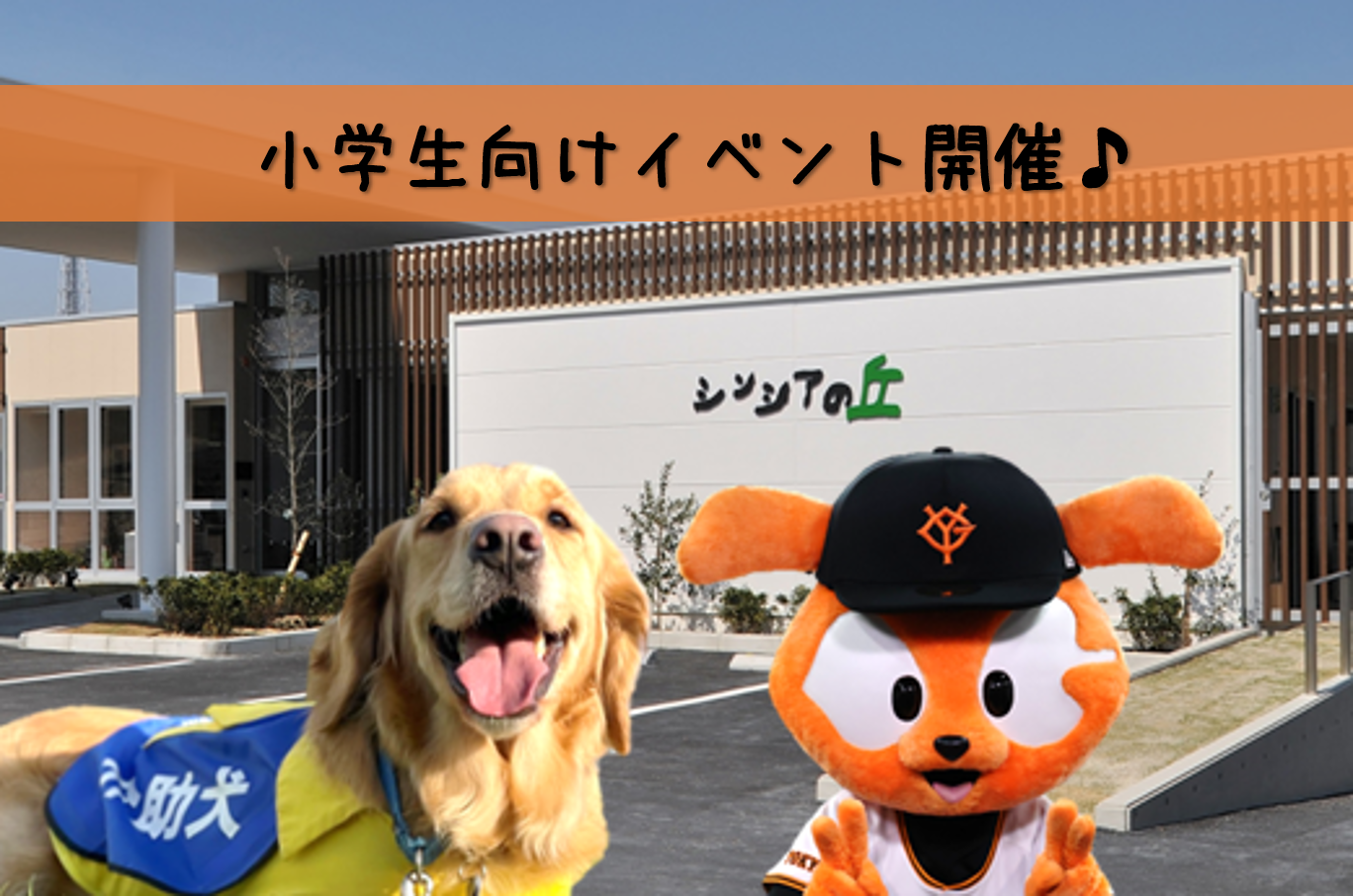 読売巨人軍ヴィーナス・ジャビットが日本介助犬協会と小学生向け介助犬イベントを開催！