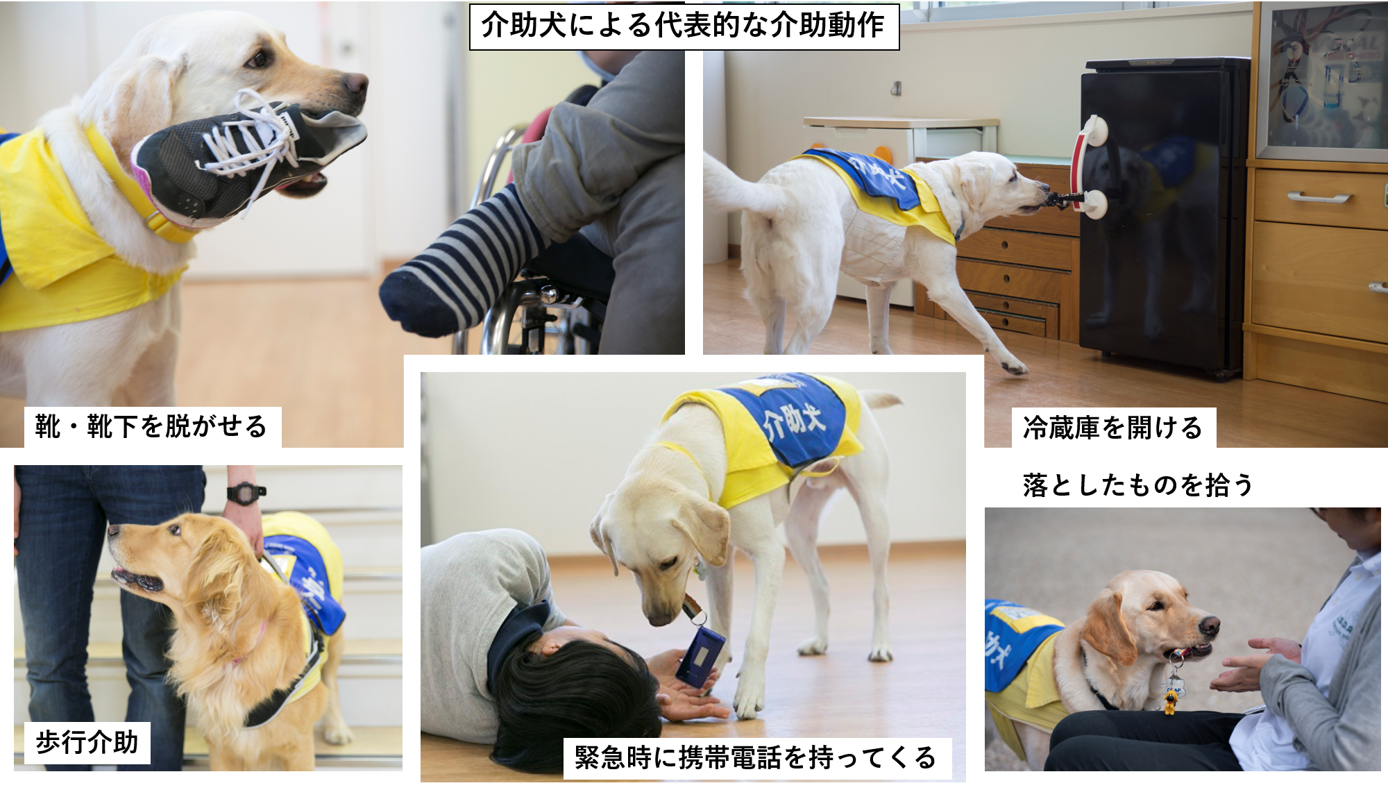 介助犬による代表的な介助作業