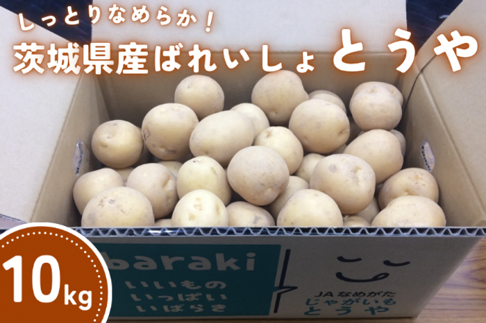 茨城県産ばれいしょ「メークイン」と「とうや」を「ＪＡタウン」のショップ「いいものいっぱい広場」で発売中！ ～様々な料理で大活躍！！～