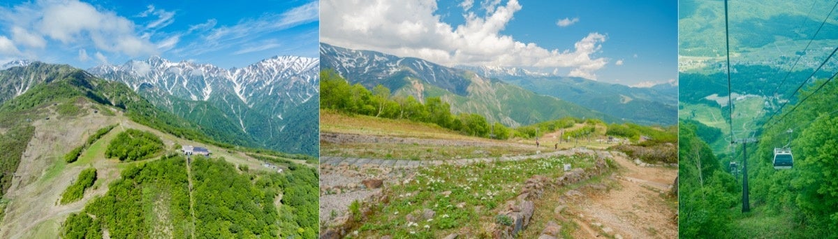 白馬村のグリーンシーズン、本格スタート！各スキー場の夏営業がはじまり、地元山岳ガイド「白馬マイスター」...