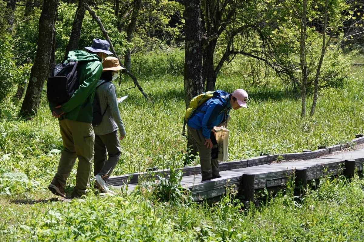 白馬村のグリーンシーズン、本格スタート！各スキー場の夏営業がはじまり、地元山岳ガイド「白馬マイスター」...