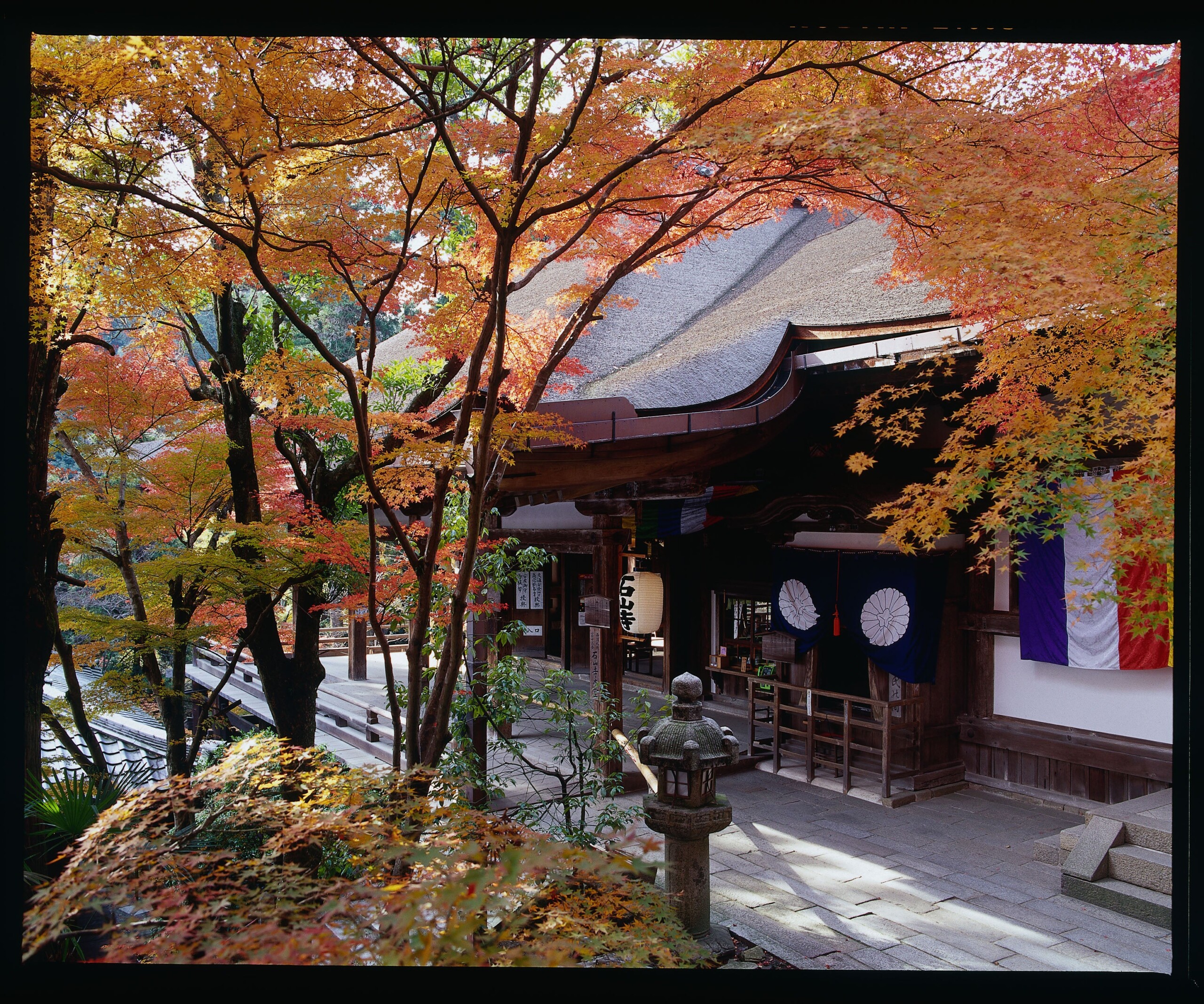 滋賀県大津市への移住を考えている方必見！紫式部が『源氏物語』を起筆したという石山寺のガイドツアーと暮ら...