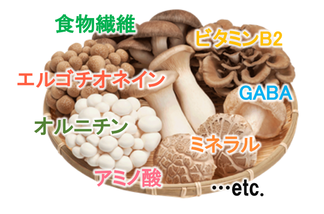 〜今後の健康社会の救世主となる「○活」習慣を再発見〜　近年流行する美容・健康のための様々な「○活」習慣を...