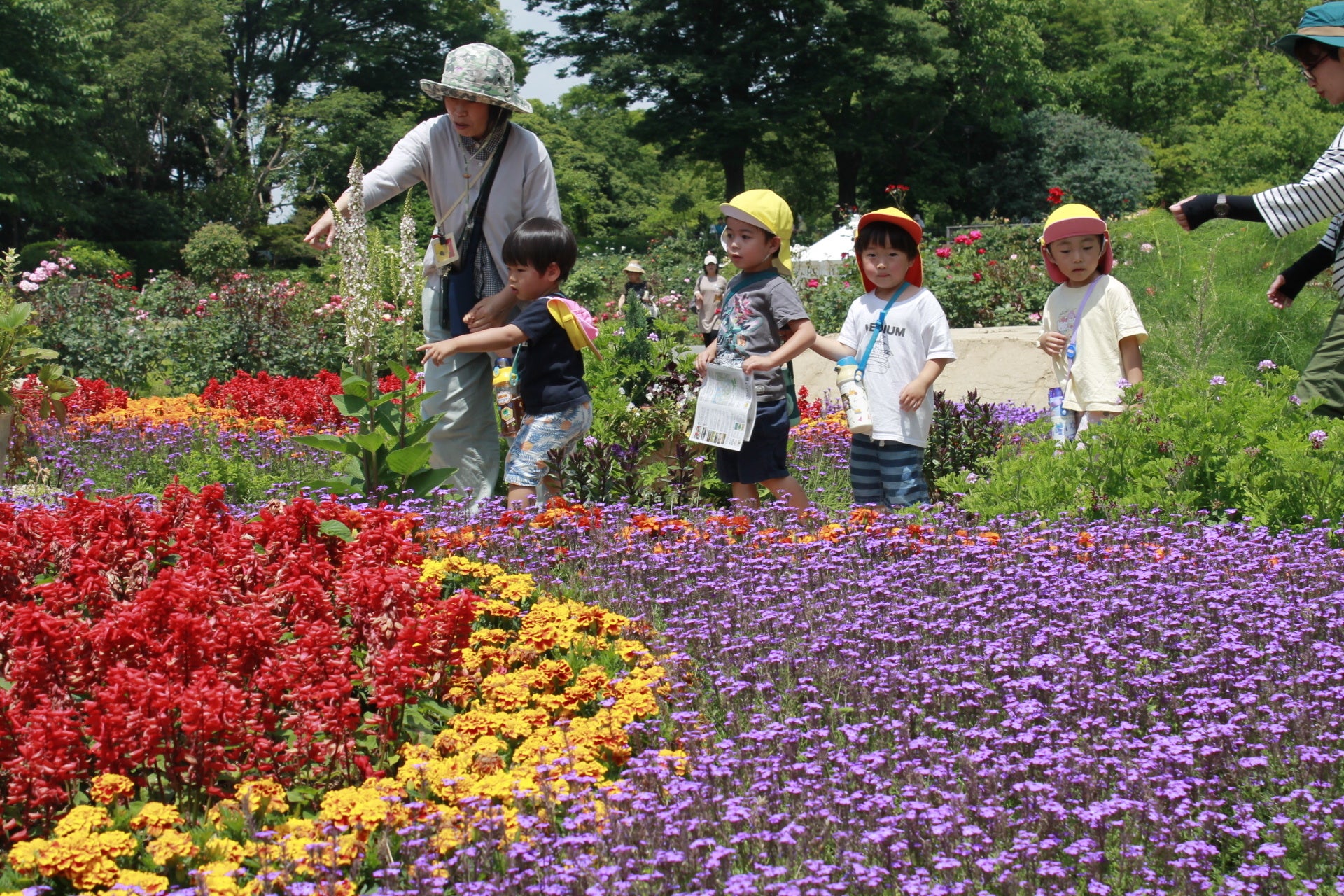 ＜体験入園＞「自分でできた！」の５日間。ハピネスサマースクール2024を開催！