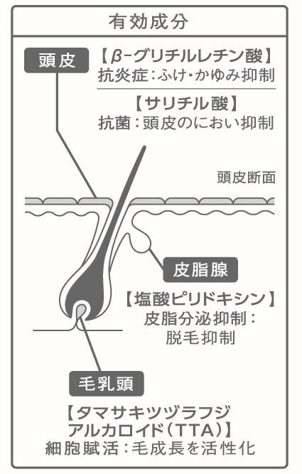 “ジェンダーレス発想”のネイチャーサイエンスケア『マニフィーク』より大自然の恵みから生まれた薬用スカルプ...