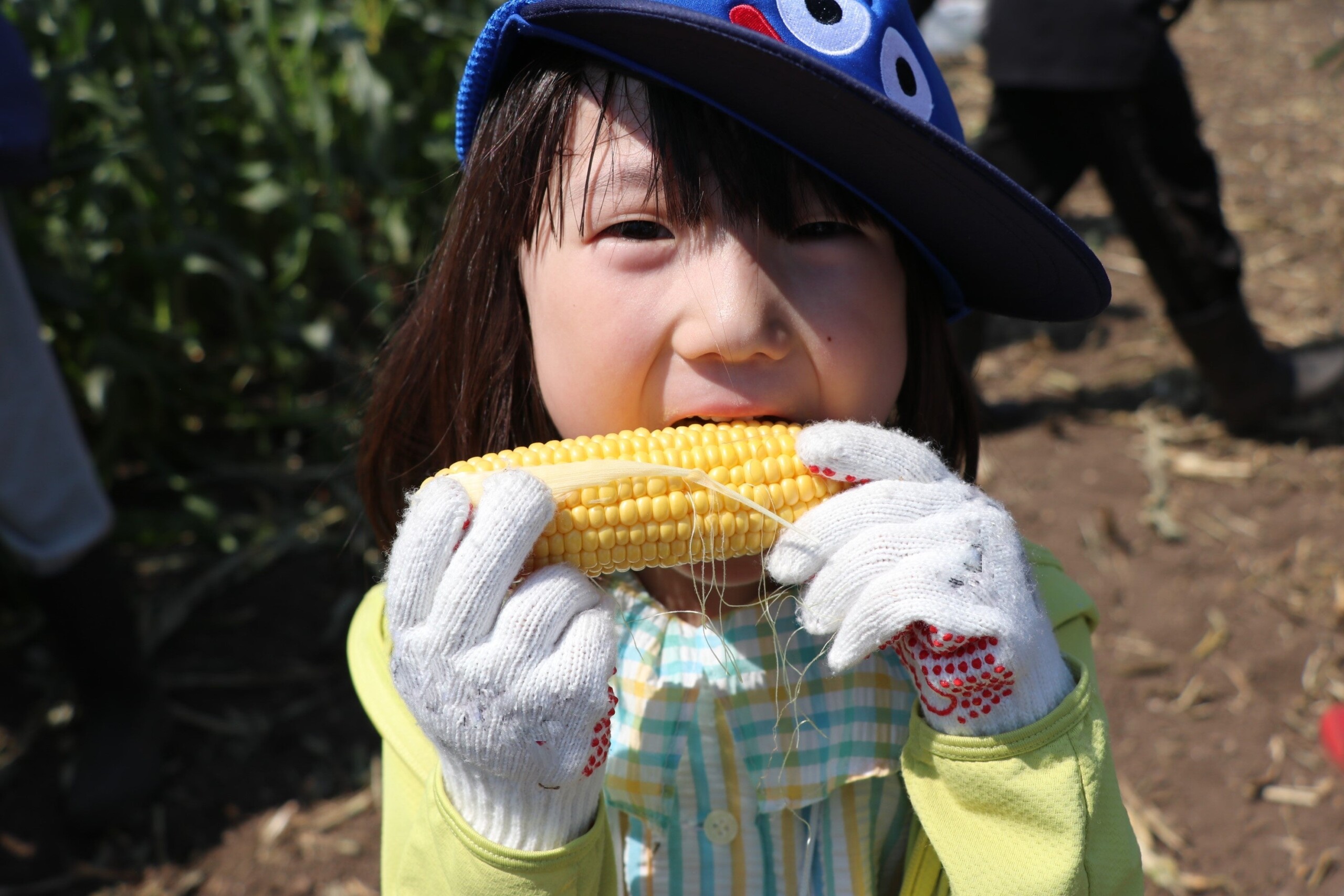 生とうもろこしまるかじり　昭和村で農業体験　7月27日（土）〔群馬〕