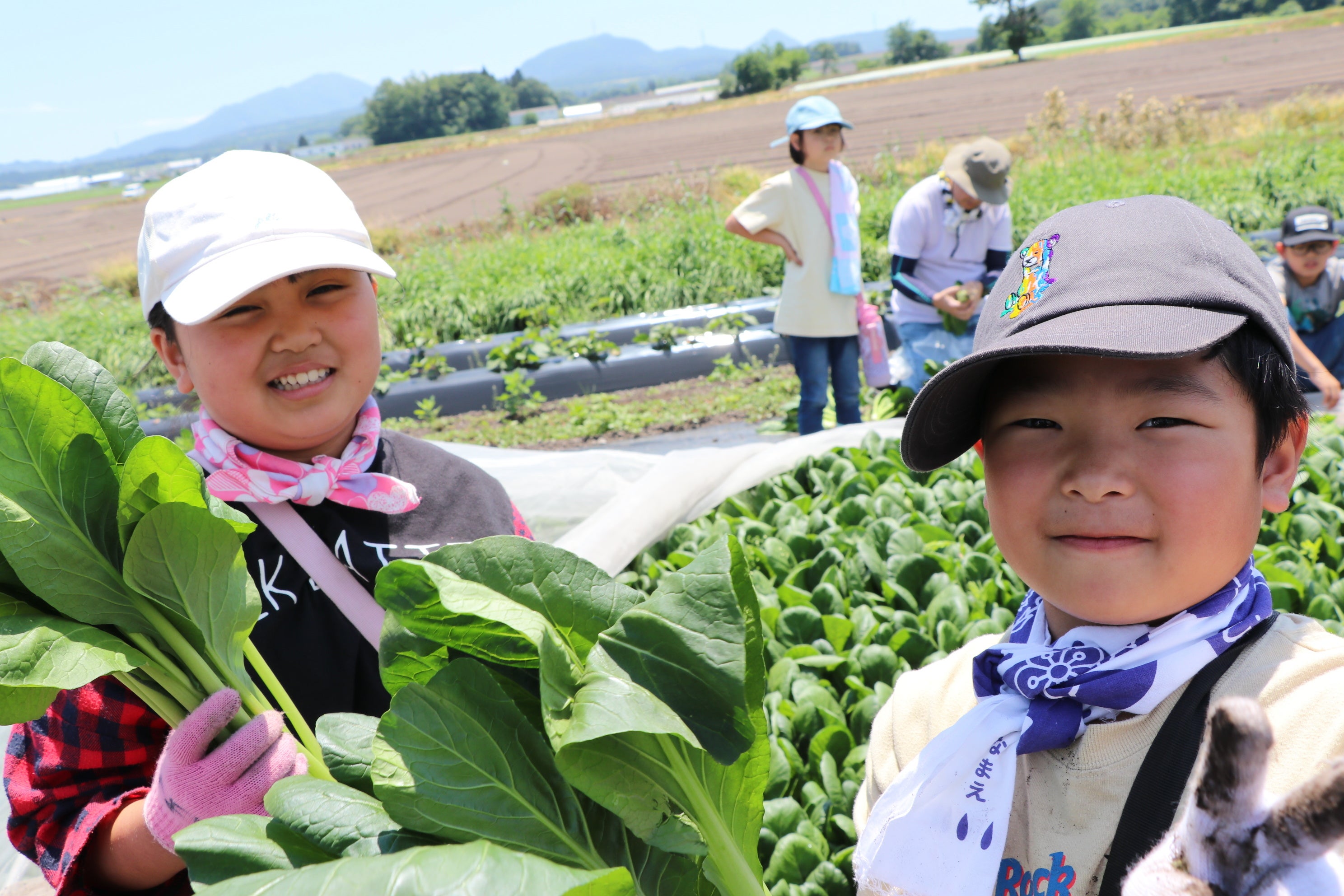 生とうもろこしまるかじり　昭和村で農業体験　7月27日（土）〔群馬〕