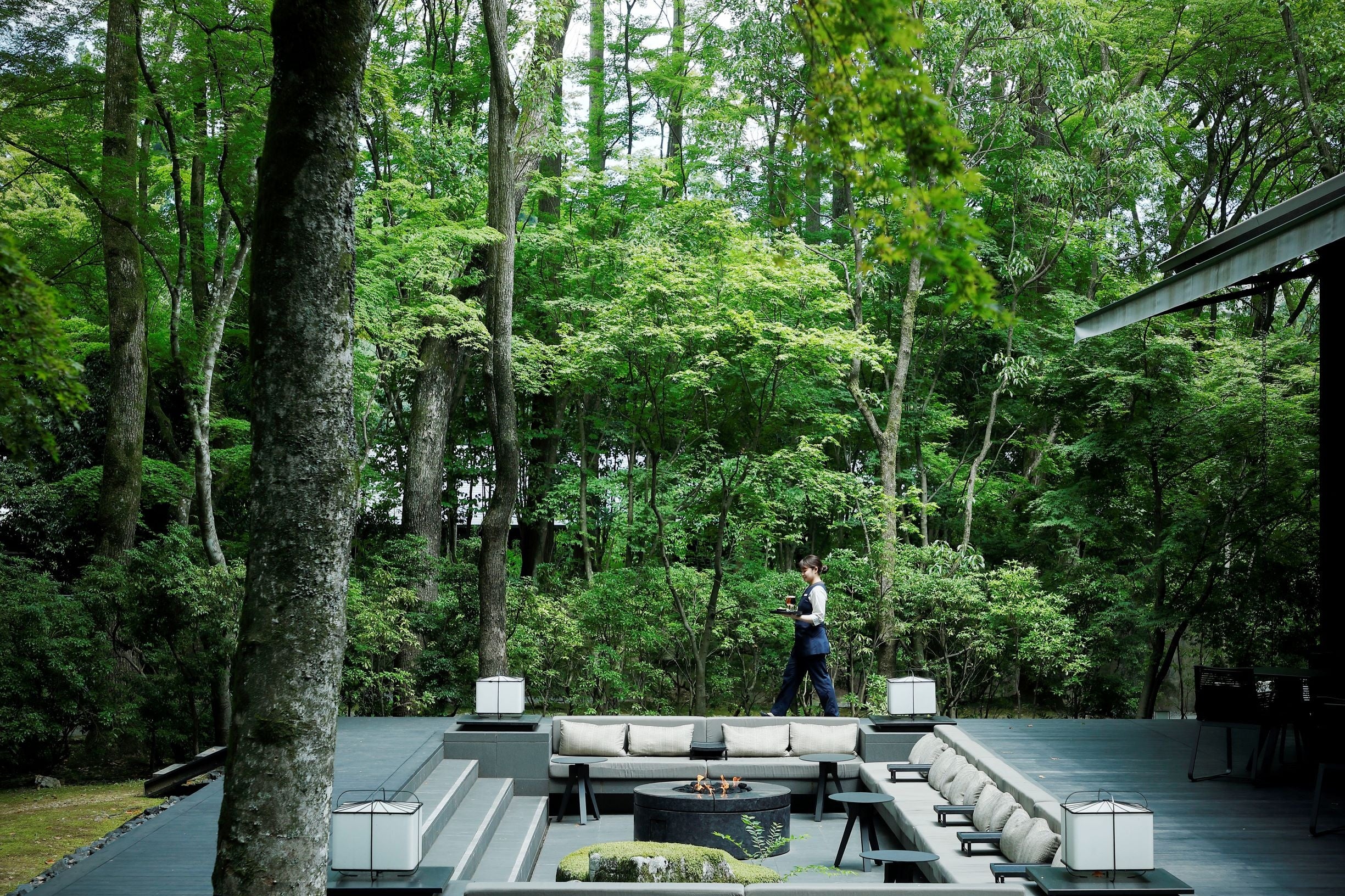 【アマン京都】涼を感じる森の庭で、夏を味わう期間限定メニュー