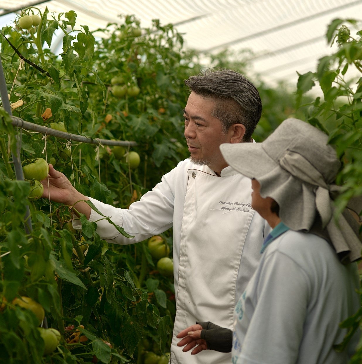 【アマン京都】地元の農家で育った上賀茂野菜の美味しさを詰め合わせた「上賀茂野菜のサブレ」新発売