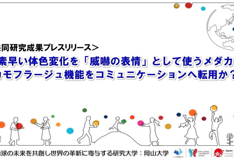 素早い体色変化を「威嚇の表情」として使うメダカ〜カモフラージュ機能をコミュニケーションへ転用か？〜〔東...