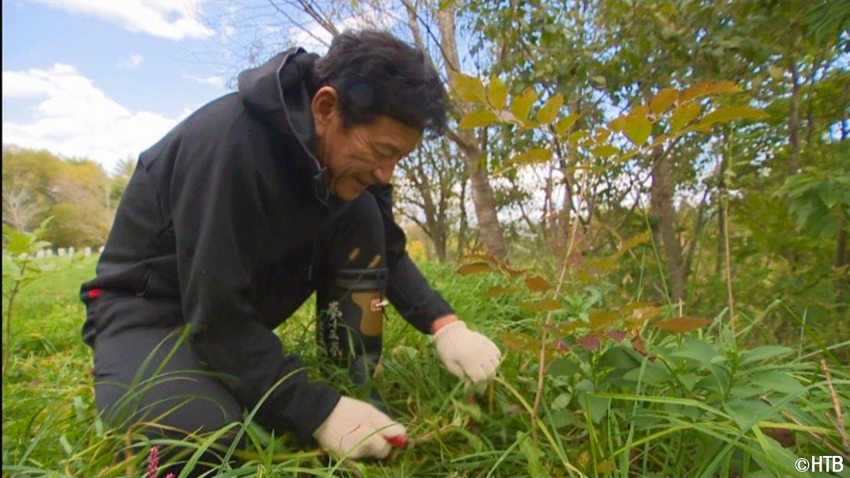 HTB開局55周年記念番組「未来を創る　森のチカラ　北海道から発見！の旅」BS朝日4Kチャンネルで全国放送