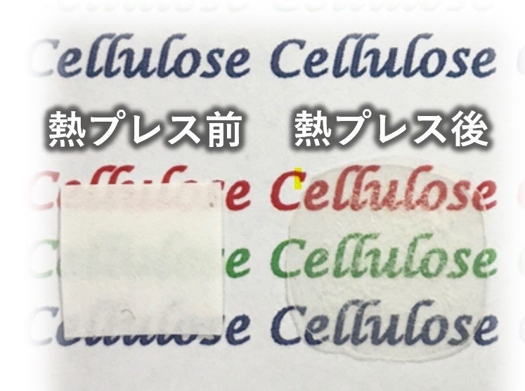 CNF展示会「セルロースナノファイバーの最前線2024」に出展！～7月31日は特別講演会に登壇します～