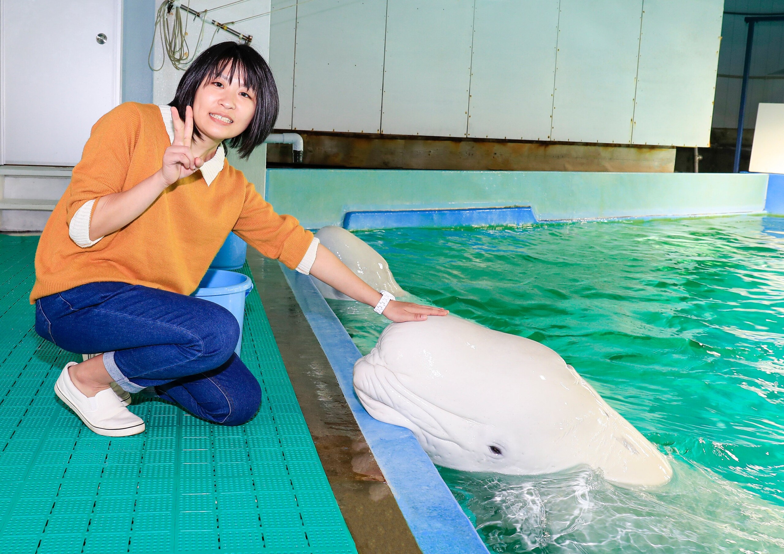 【鴨川シーワールド】水族館女子集合！同じ趣味で楽しむシャチのナイトパフォーマンスやセミコースディナーが...