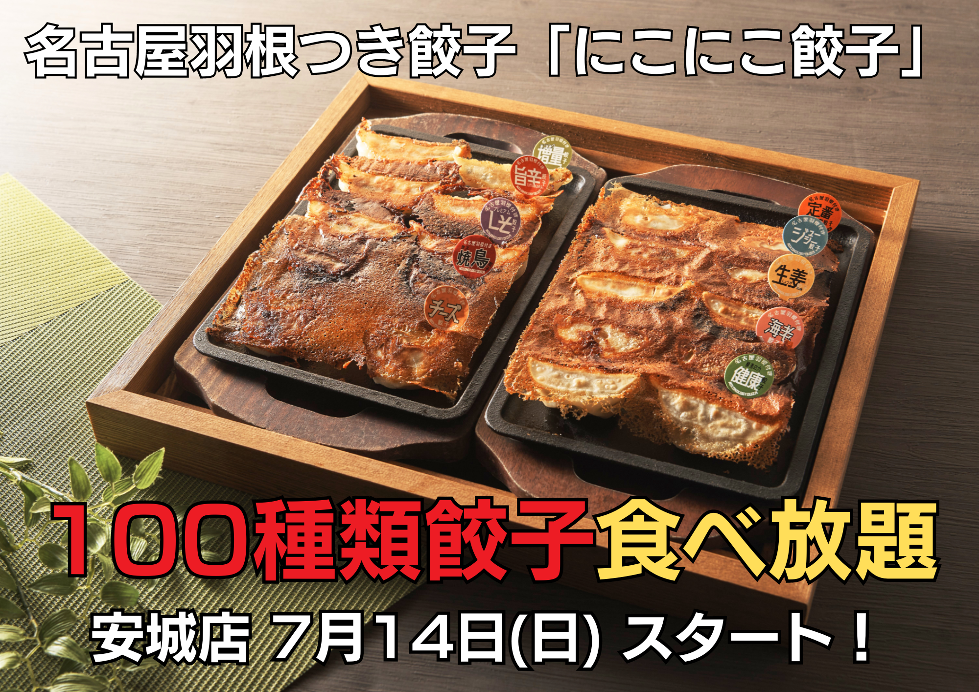 100種類餃子食べ放題が「にこにこ餃子」安城店にて7月14日よりスタートします