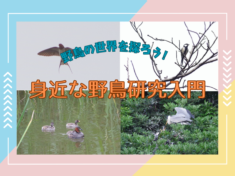 野鳥博士やキャビンアテンダントに挑戦！「副業先生」から学ぶ子どもが主役の職業体験アカデミーを開講