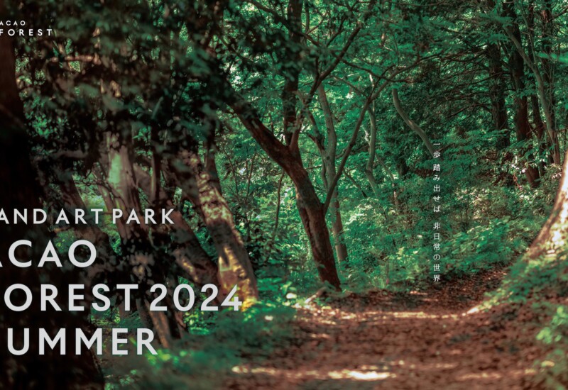 「ACAO FOREST 2024 SUMMER」開催