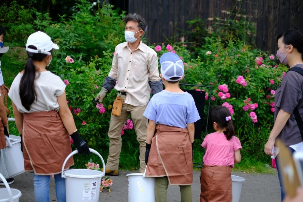 【いばらきフラワーパーク】夏休み期間中、500円で入園し放題の「夏休みキッズフリーパス」！ご家族で体感で...