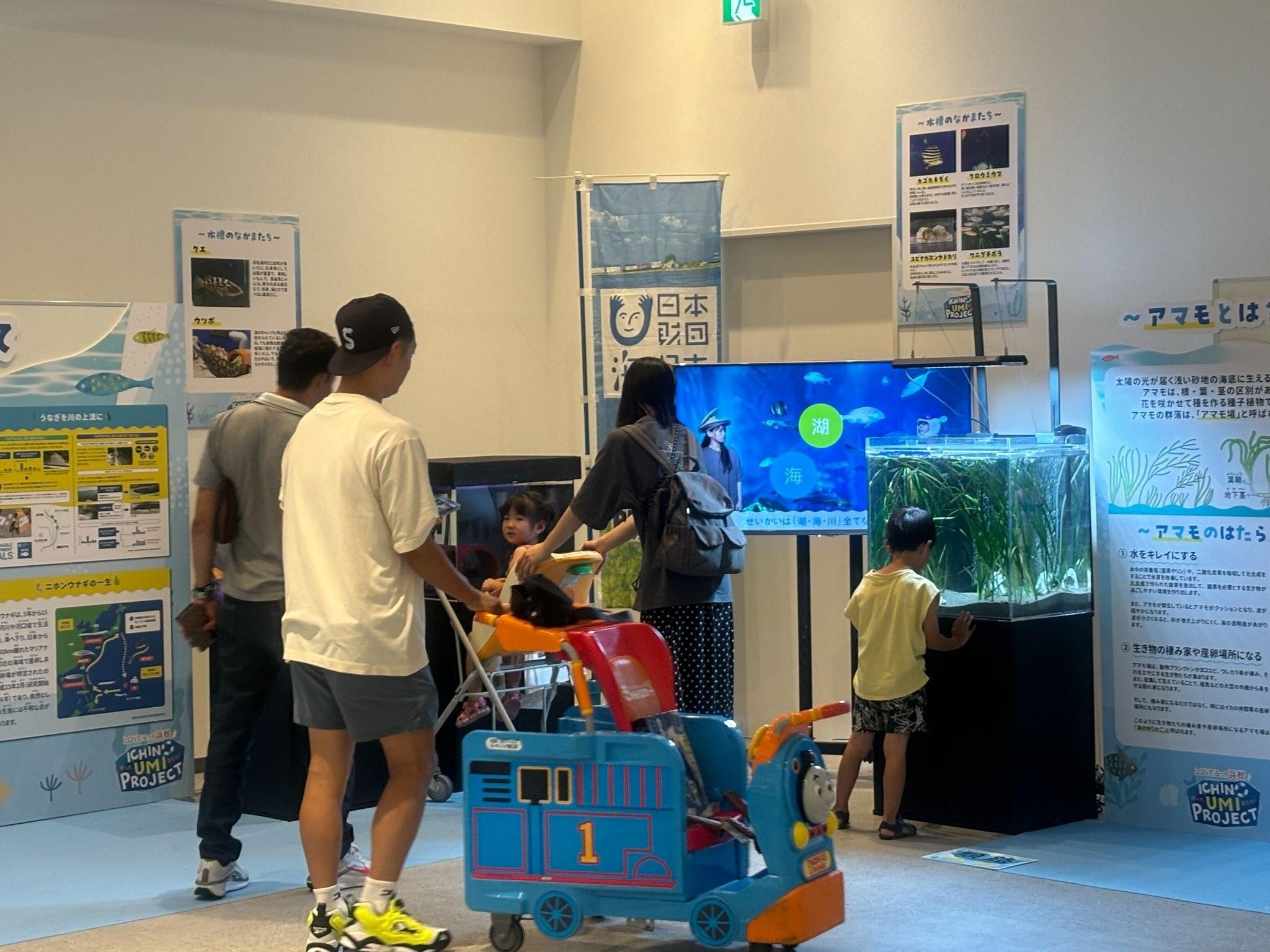 小中学生の夏休みの課題にぴったり！イオンモール浜松市野の館内にミニ水族館が出現！「浜名湖アマモ育成プロ...