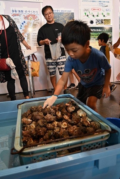 鳥取ブルーカーボンプロジェクト『とっとり海のごちそう祭2024』豊かな海の再生を目指して～見て！触って！食...