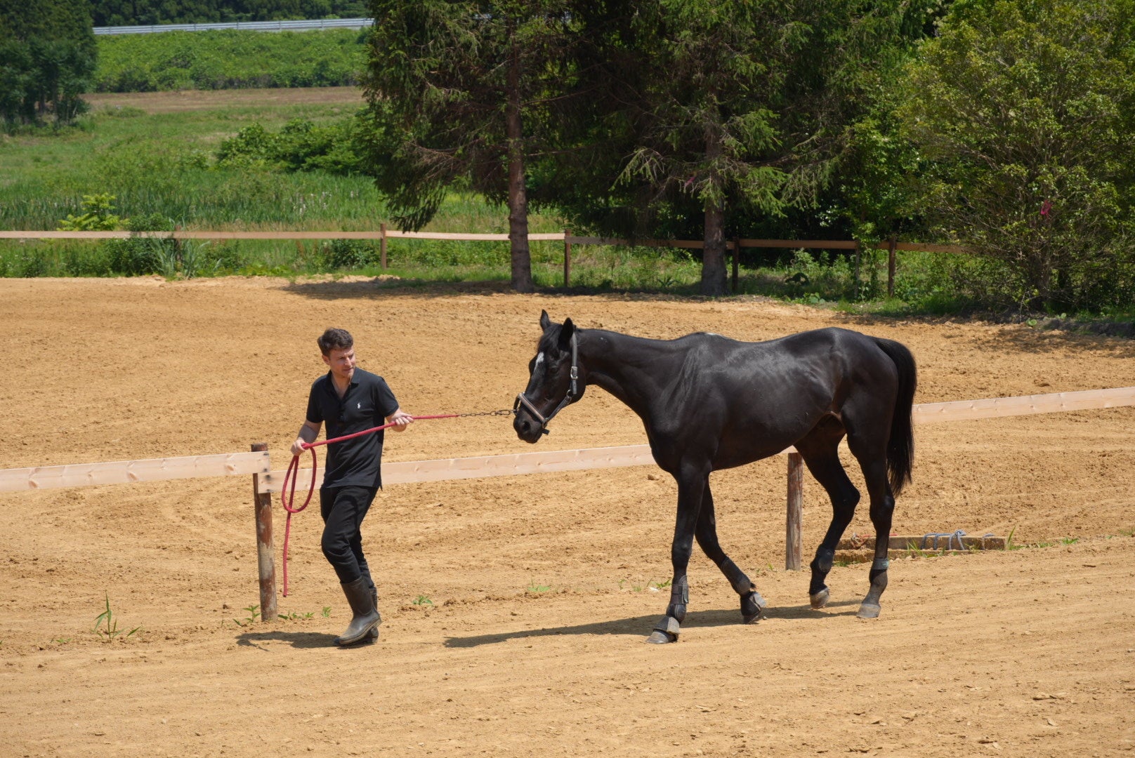 Horse Value、ペルノ・リカール・ジャパン株式会社様研修を実施