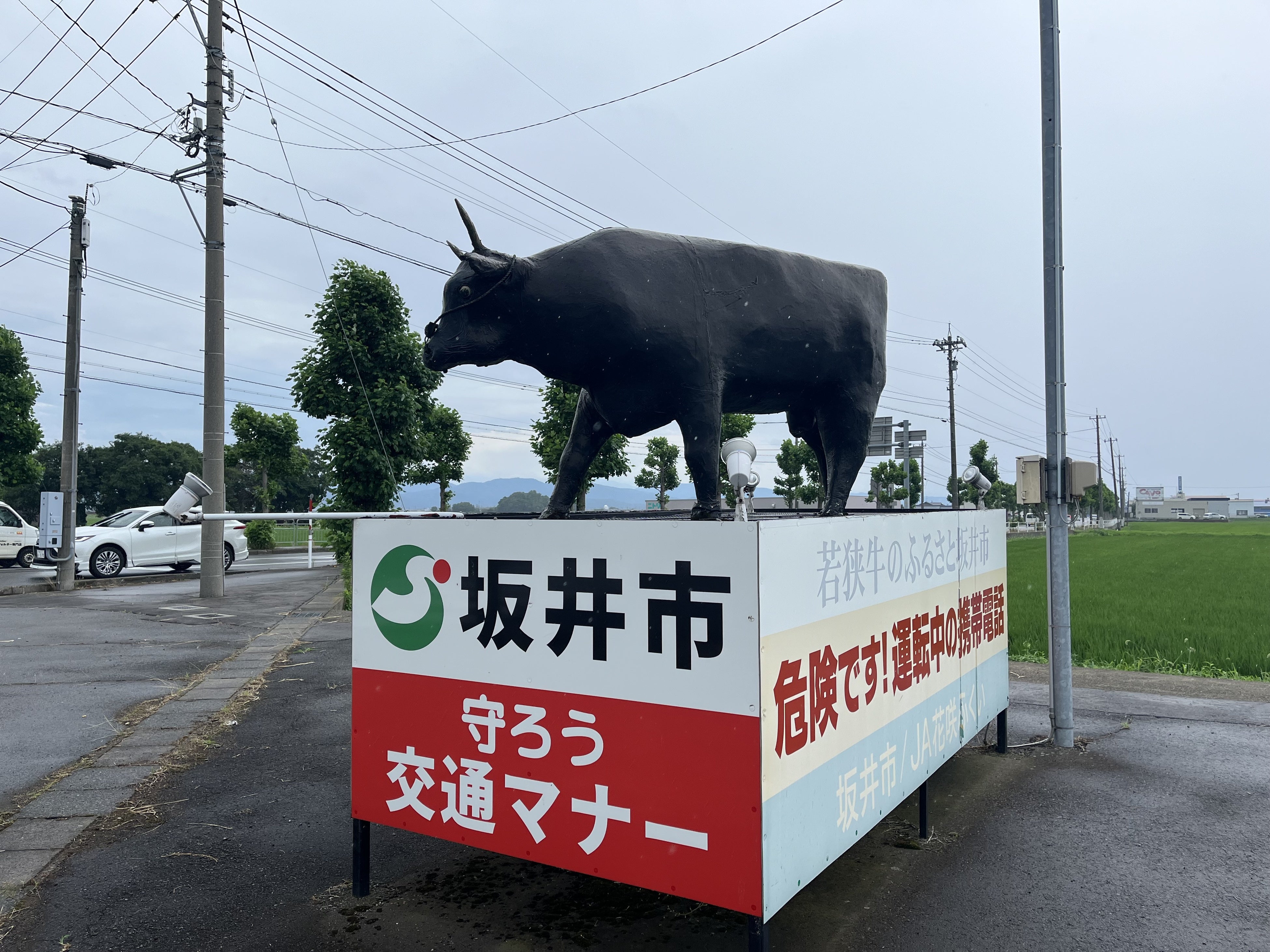 え、巨大かかしが道案内のシンボルに？【2024さかい夏祭り】開催決定（福井県坂井市）