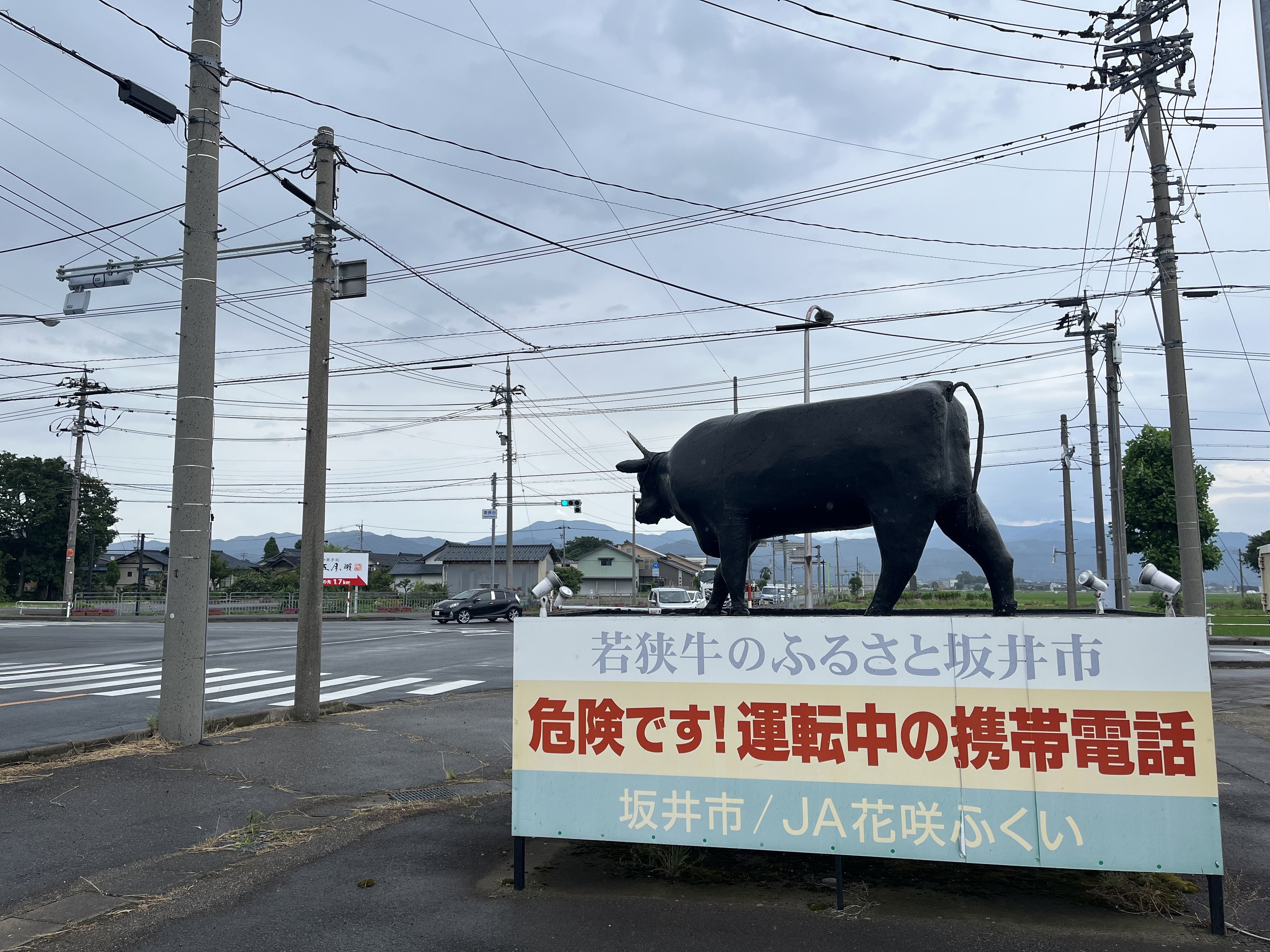 え、巨大かかしが道案内のシンボルに？【2024さかい夏祭り】開催決定（福井県坂井市）