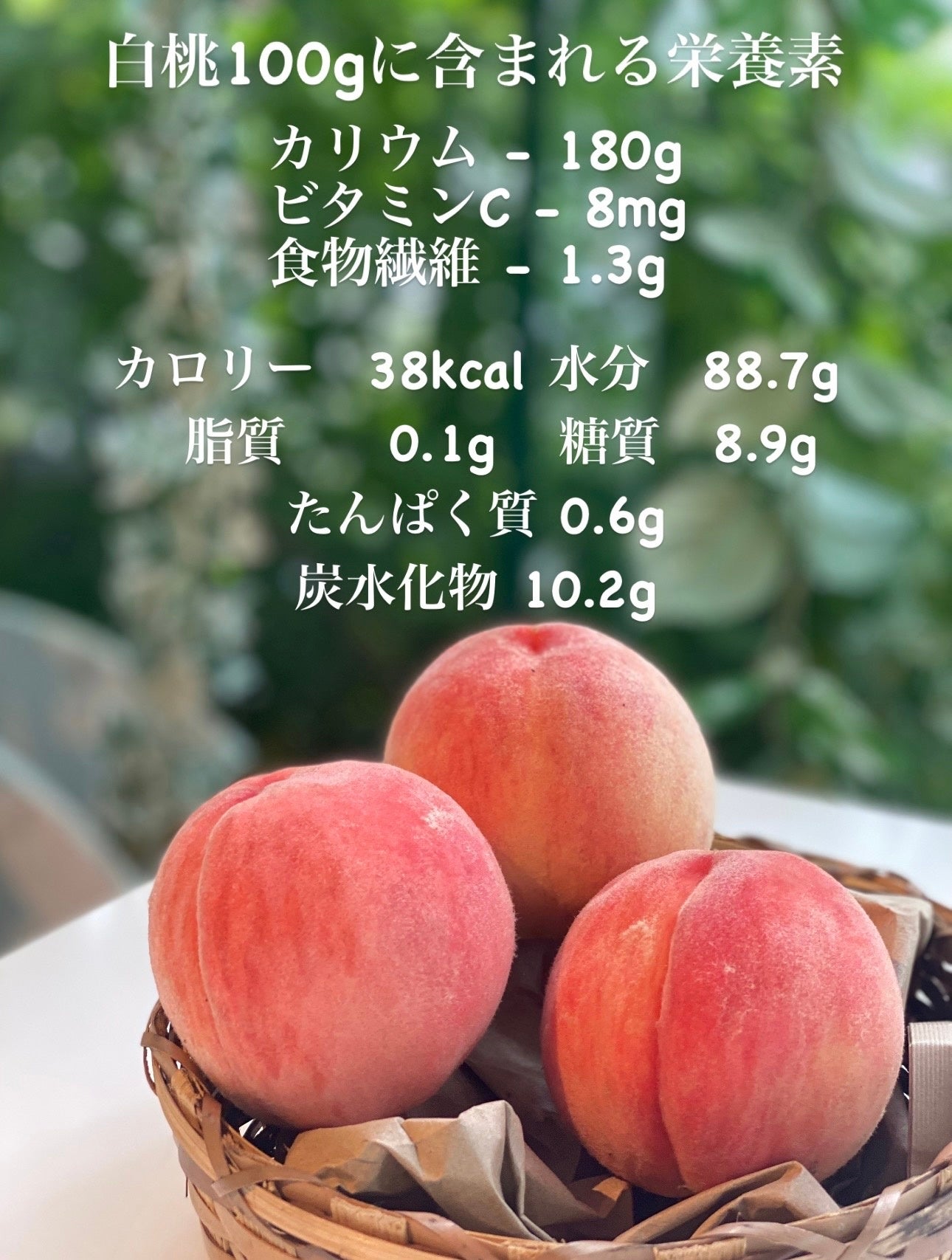 福岡市薬院で有名なオーガニックカフェ『and S organic』より、夏季限定メニュー発売