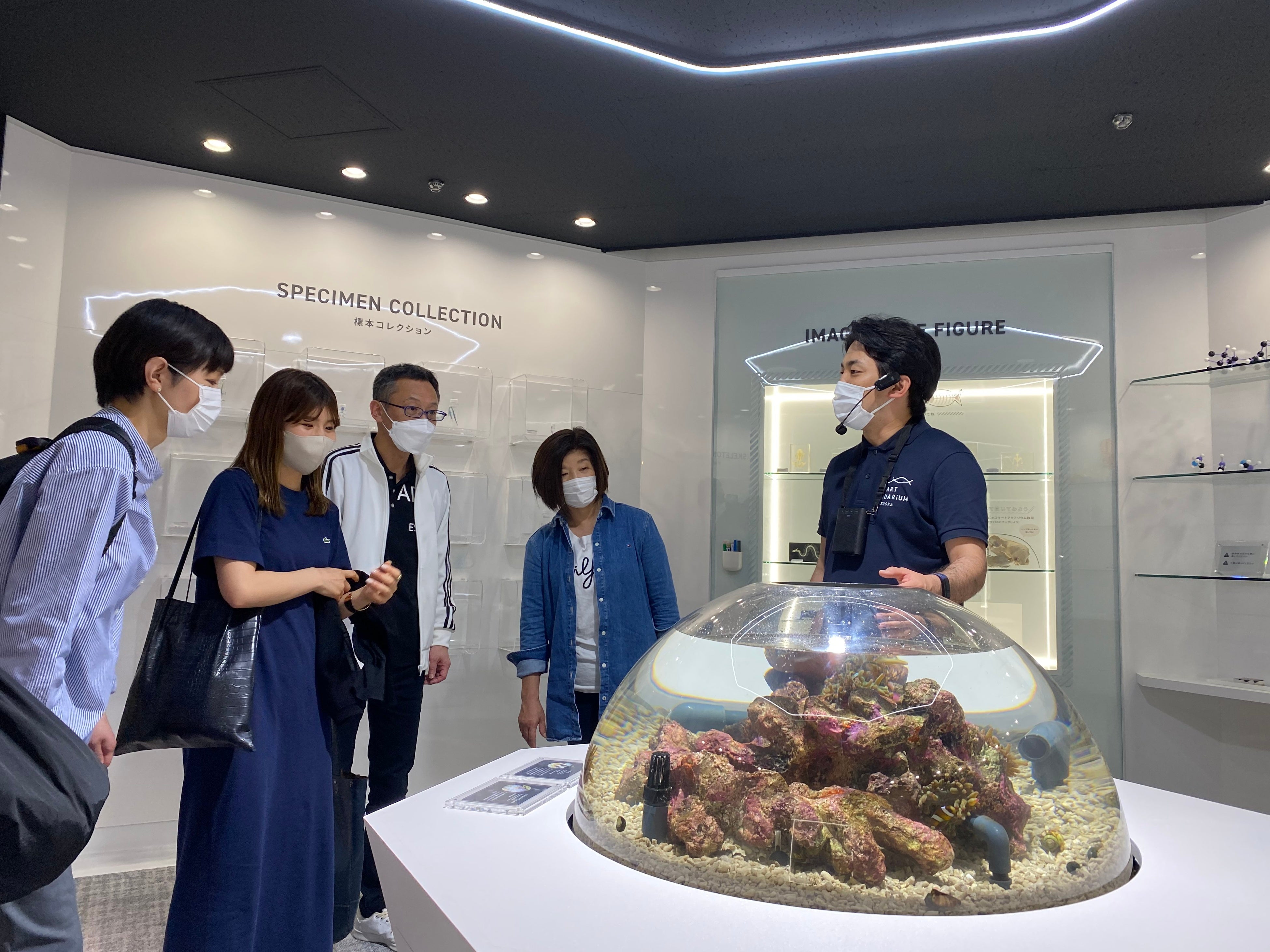 開業以来初！和を感じるエリアがリニューアル！この夏は、親子で水族館へでかけよう！【スマートアクアリウム...