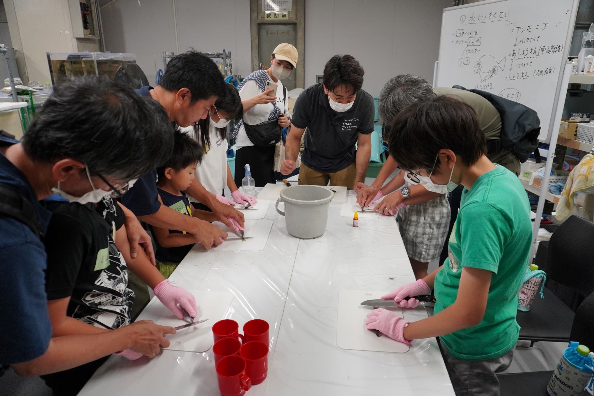 開業以来初！和を感じるエリアがリニューアル！この夏は、親子で水族館へでかけよう！【スマートアクアリウム...