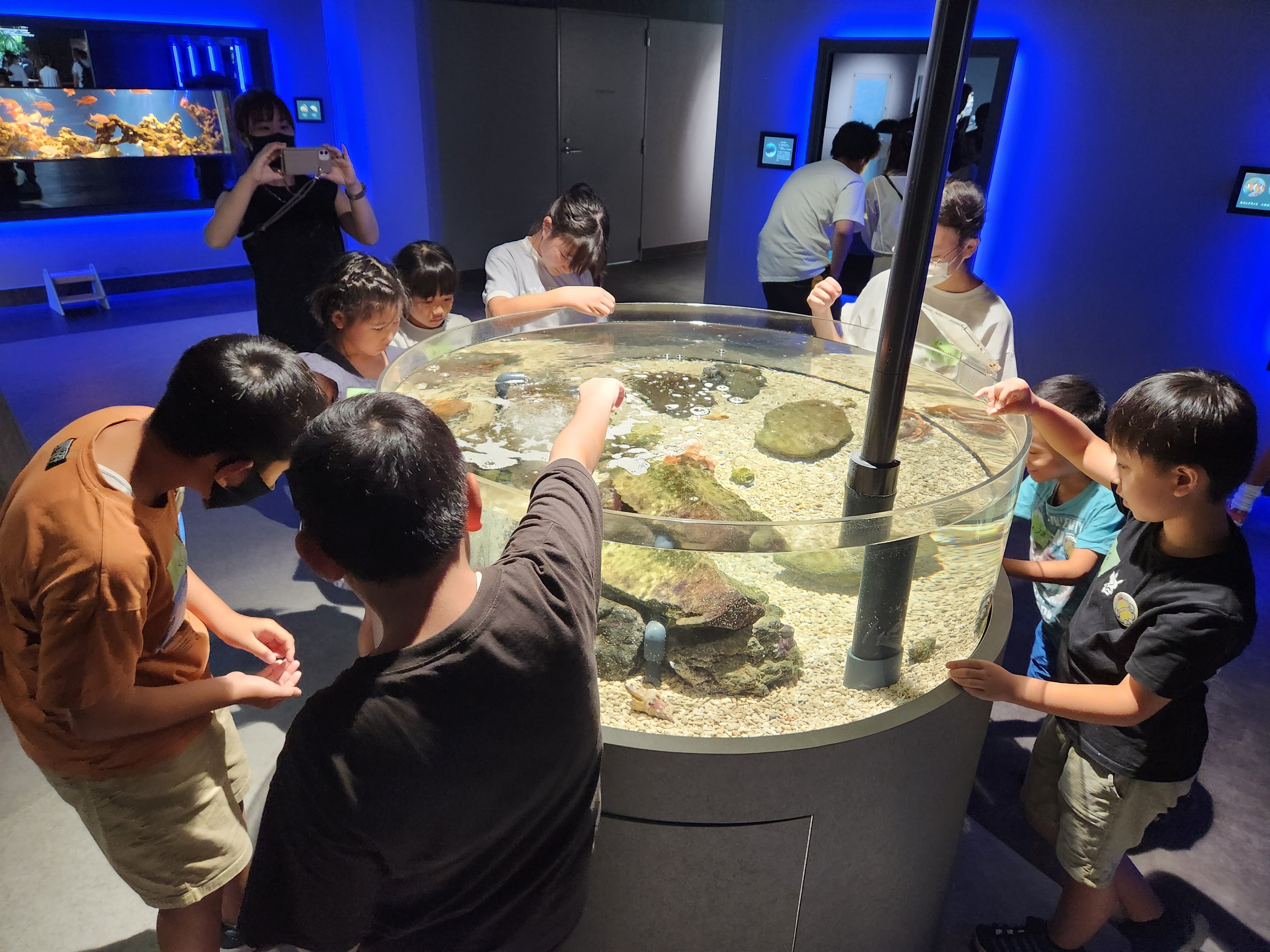 開業以来初！和を感じるエリアがリニューアル！この夏は、親子で水族館へでかけよう！【スマートアクアリウム...