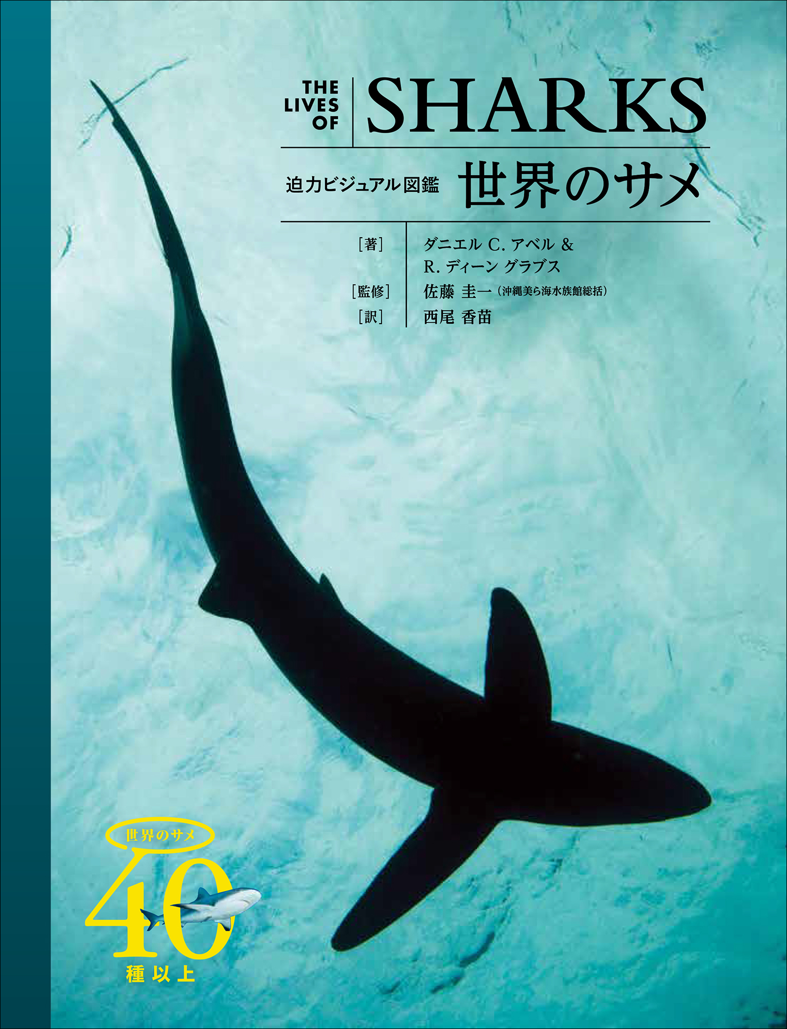 海のハンター“サメ”の生態を研究者が徹底解剖『迫力ビジュアル図鑑 世界のサメ』8月発売