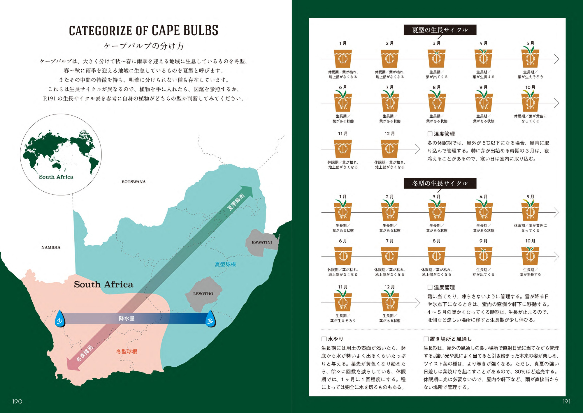 “注目の球根植物”南アフリカのケープバルブ230個体以上を分類した初の図鑑『ケープバルブ図鑑』8月発売