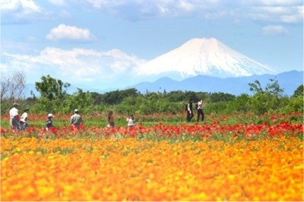 〜障害のある皆様の「住む」と「働く」と「楽しむ」が持続する街へ。