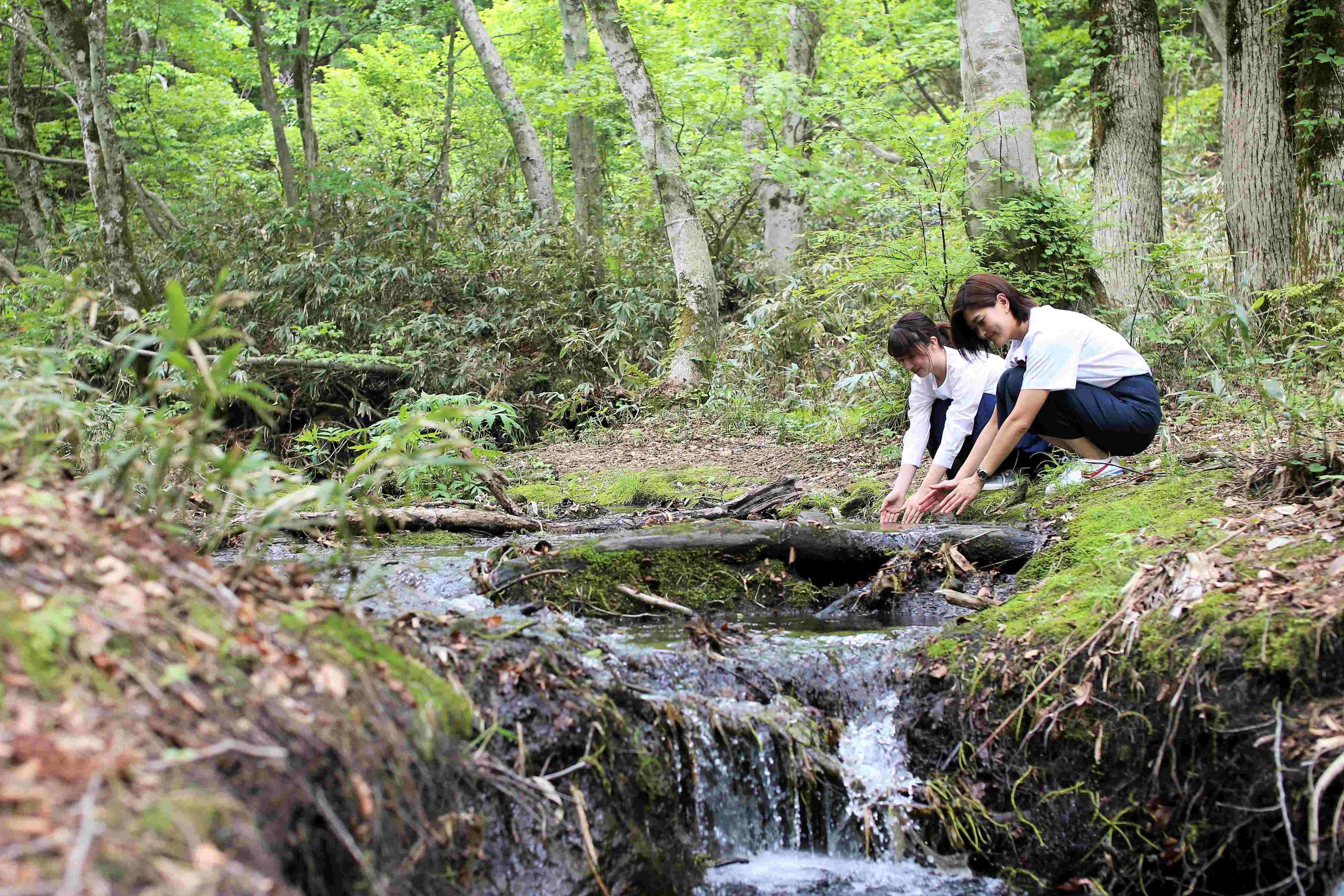 涼を求めて水めぐり　標高920mの高原へ　奥大山には涼を感じる美しい散策スポットがあります　休暇村奥大山で...